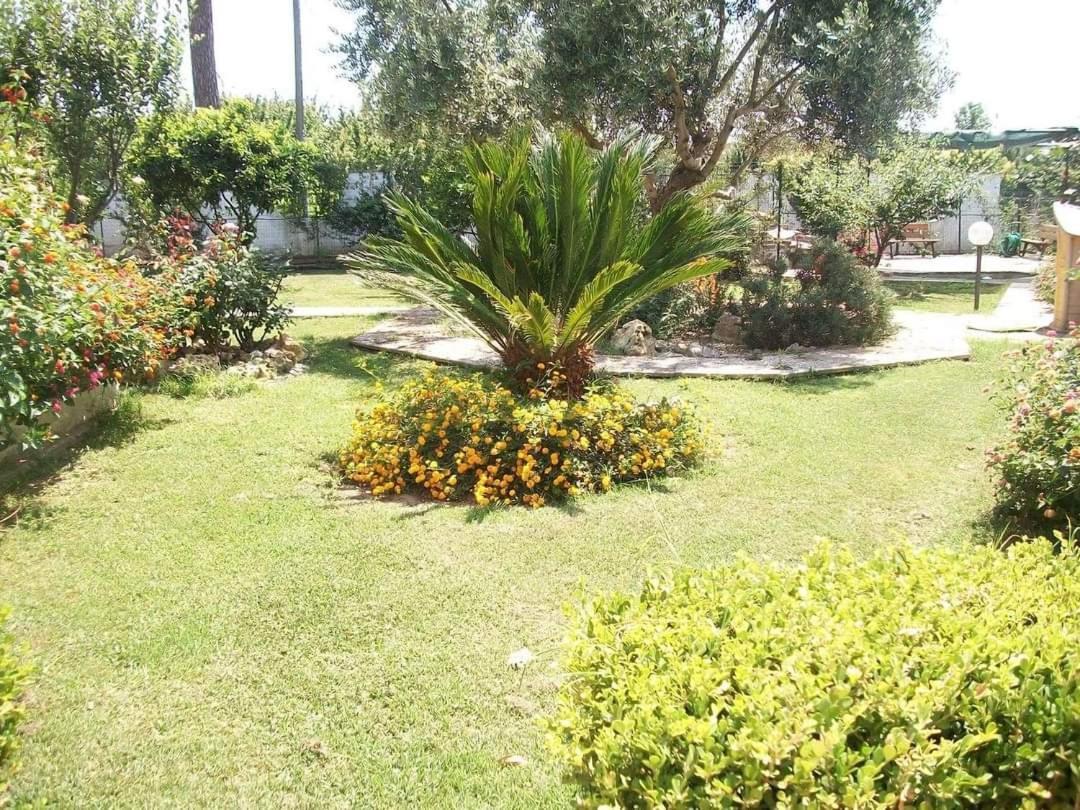Apartmán Il Giardino Degli Ulivi Giugliano In Campania Exteriér fotografie